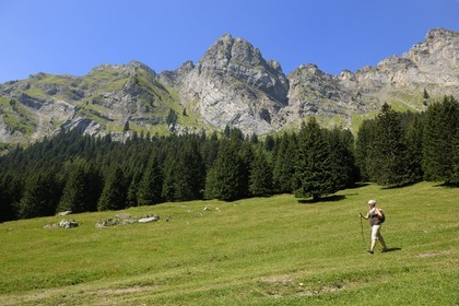 Switzerland, canton of Vaud, Villars-sur-Ollon, Solalex valley in the Muverans natural park
