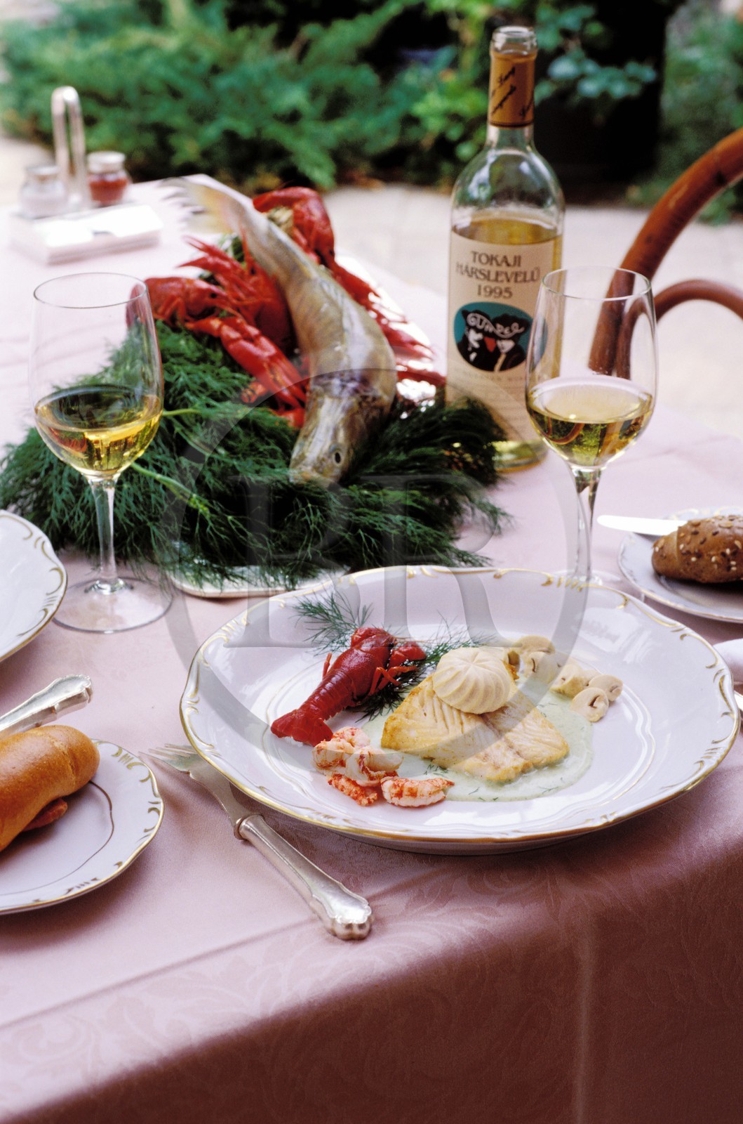 Hongrie, Budapest, Sandre à la Karpati au célèbre restaurant Gundel