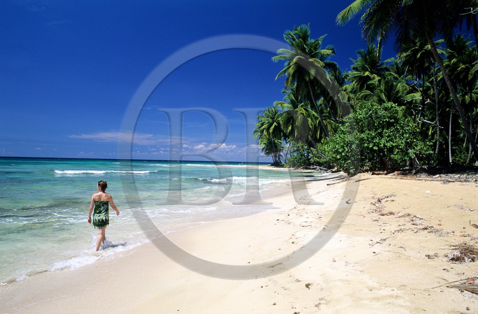 République Dominicaine, péninsule de Samana, plage sauvage et déserte El Limon près de Miches