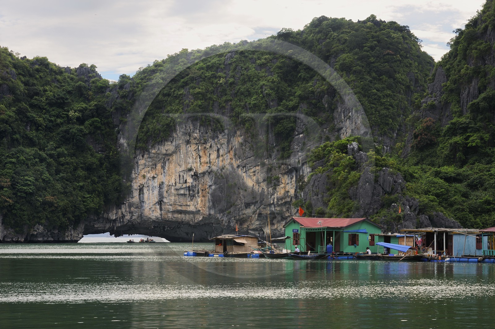Vietnam, Quang Ninh Province, Halong Bay, listed as World Heritage by UNESCO, fishing floating village of Vong Vieng
