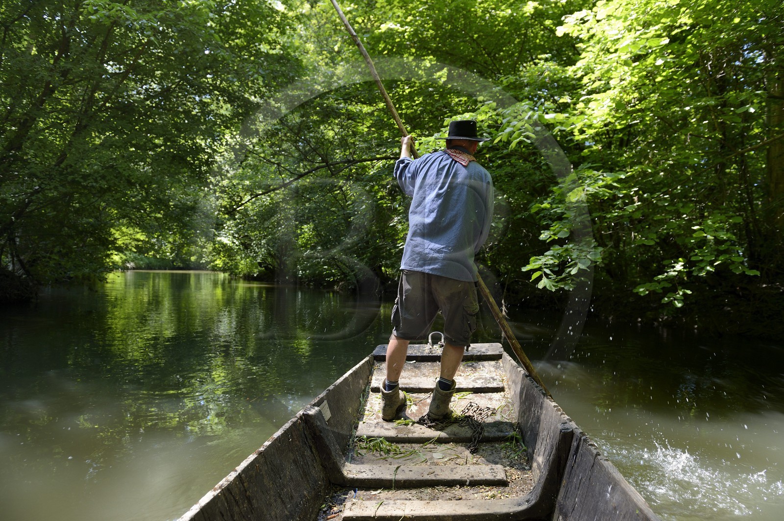 France, Bas-Rhin (67), région d'Ebersmunster et Muttersholtz, le Grand Ried, le batelier Patrick Unterstock dans une barque à fond plat en bois sur la rivière l'Ill