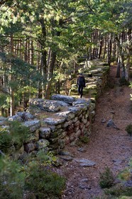France, Bas-Rhin (67), Mont Saint-Odile, randonnée le long du Mur Païen, vestige d'un mur d'enceinte probablement de l'époque mérovingienne d'une longueur totale de onze kilomètres