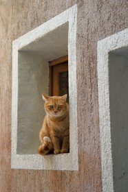 France, Alpes-Maritimes, Coaraze, labelled Les Plus Beaux Villages de France (The Most Beautiful Villages of France),