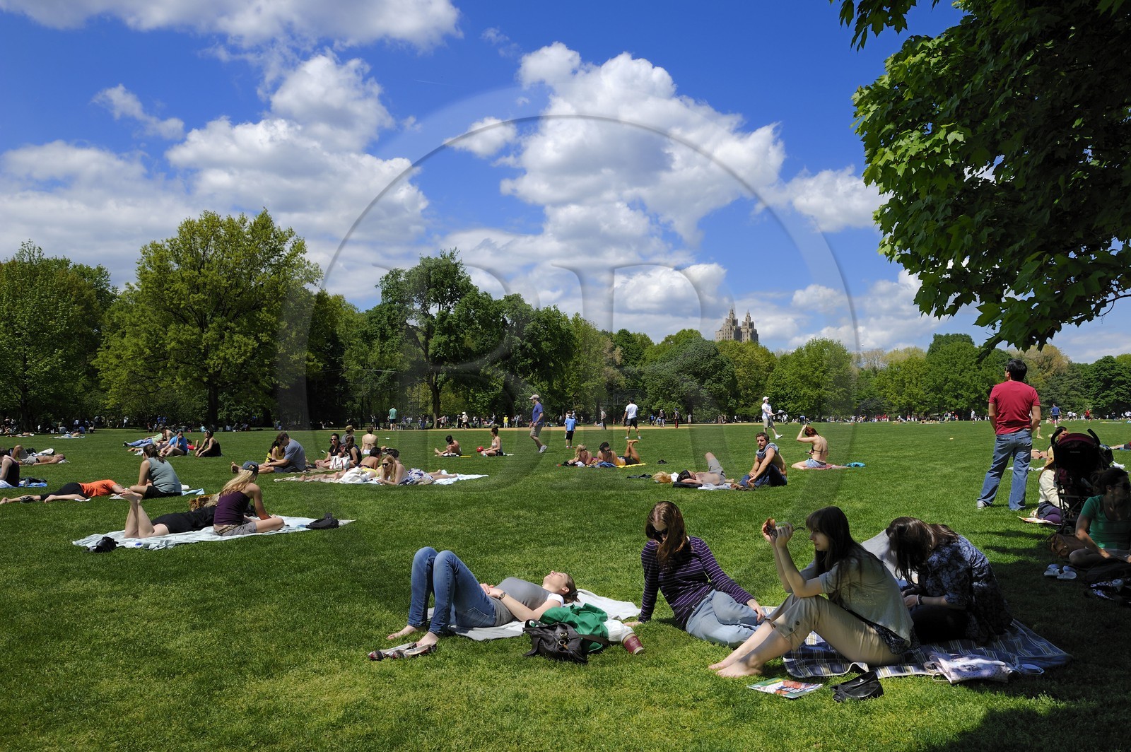 Etats-Unis, New York, Manhattan, Central Park, farniente et sport le dimanche sur la pelouse du terrain de baseball