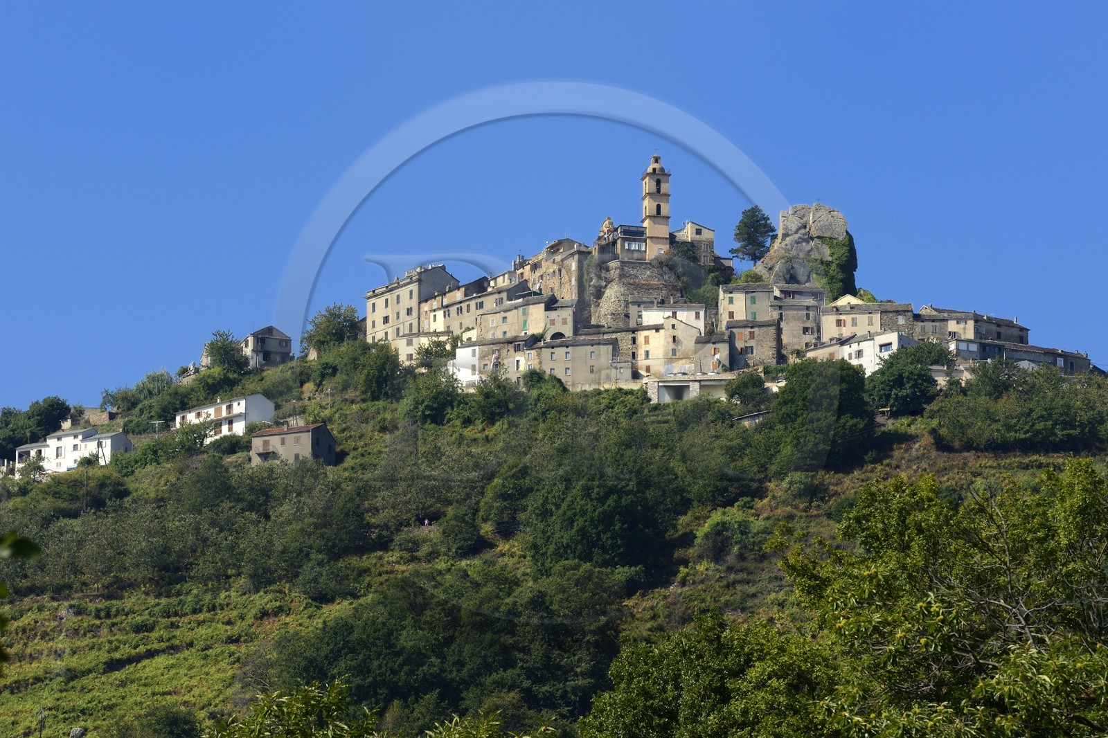 France, Haute-Corse (2B), région de la Casinca en Castagniccia, village perché de Loreto di Casinca
