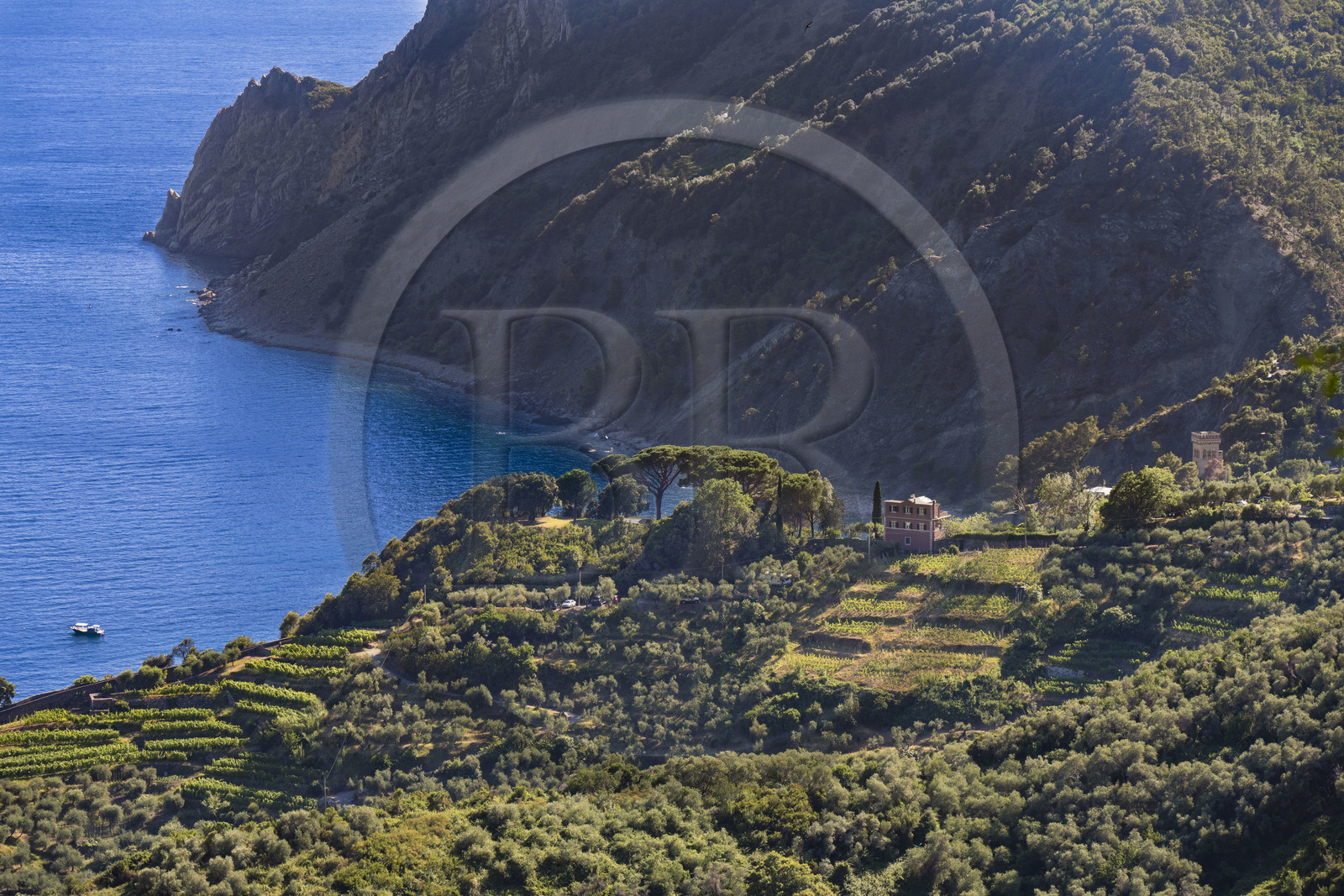 Italy, Liguria, Cinque Terre National Park listed as World Heritage by UNESCO, village of Monterosso al Mare and Punta Mesco in the Riviera of La Spezia