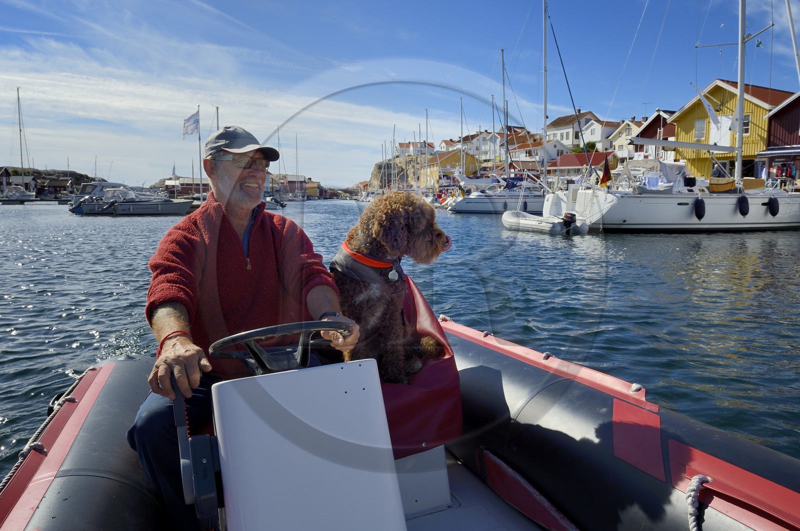 Sweden, Västra Götaland, Smögen harbour, Cyril and his dog Simpson aboard his zodiac