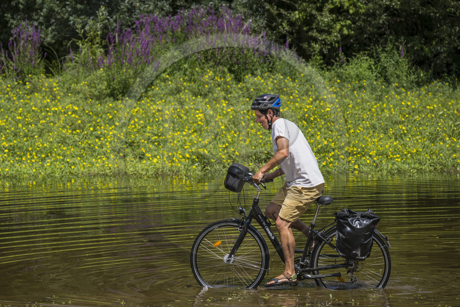 France, Maine-et-Loire, Loire valley listed as World Heritage by UNESCO, Dampierre to the east of Saumur, cycling along the banks of the Loire