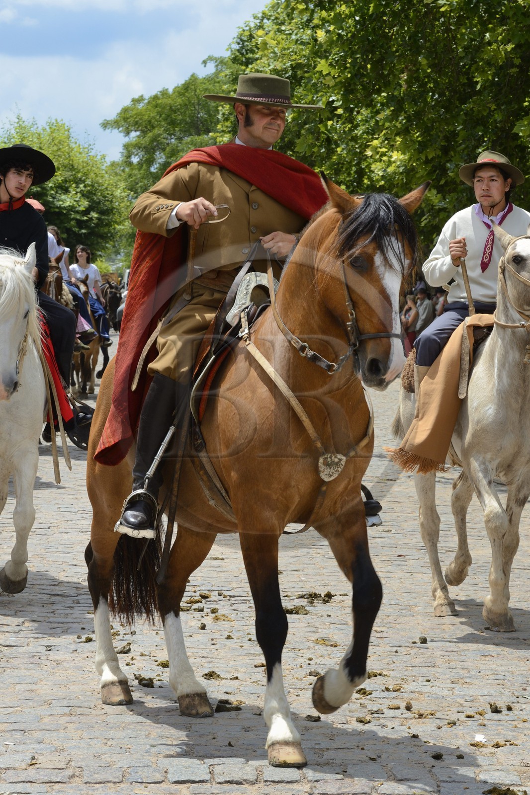 Argentine, province de Buenos Aires, San Antonio de Areco, fête du Jour de la Tradition (Dia de la Tradicion), gaucho à cheval défilant en habit traditionnel, estanciero (gaucho propriétaire d'un ranch)