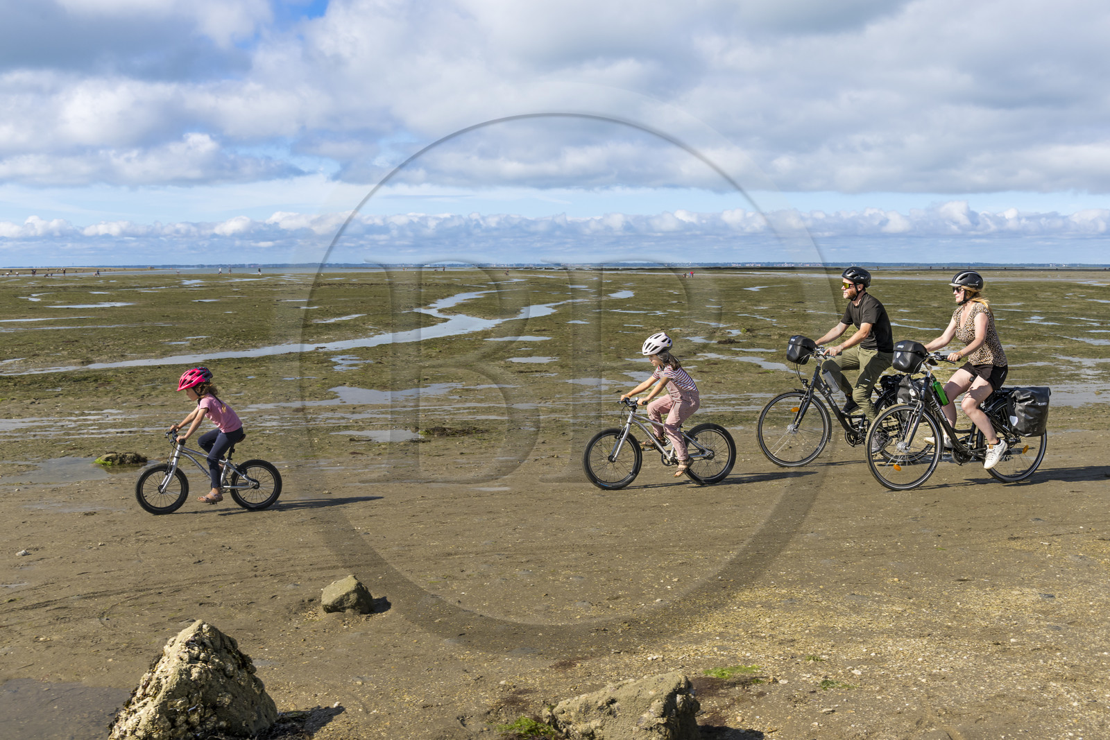 France, Vendée (85), île de Noirmoutier, Barbatre, famille de cyclistes sur l'estran en bordure du passage du Gois, chaussée submersible qui relie l'île au continent à marrée basse