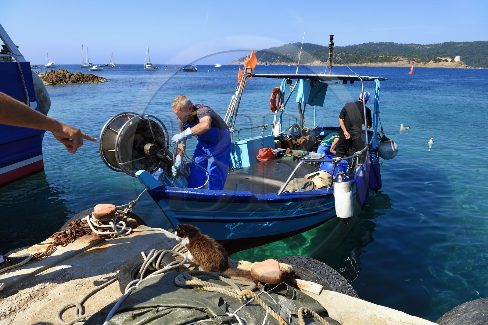 France, Var (83), Iles d'Hyères, Parc national de Port Cros, Ile du Levant, domaine naturiste d'Héliopolis, retour au port du bateau de pêche de Christophe et Brigitte Chevallier, seuls pêcheurs professionnels d'Héliopolis