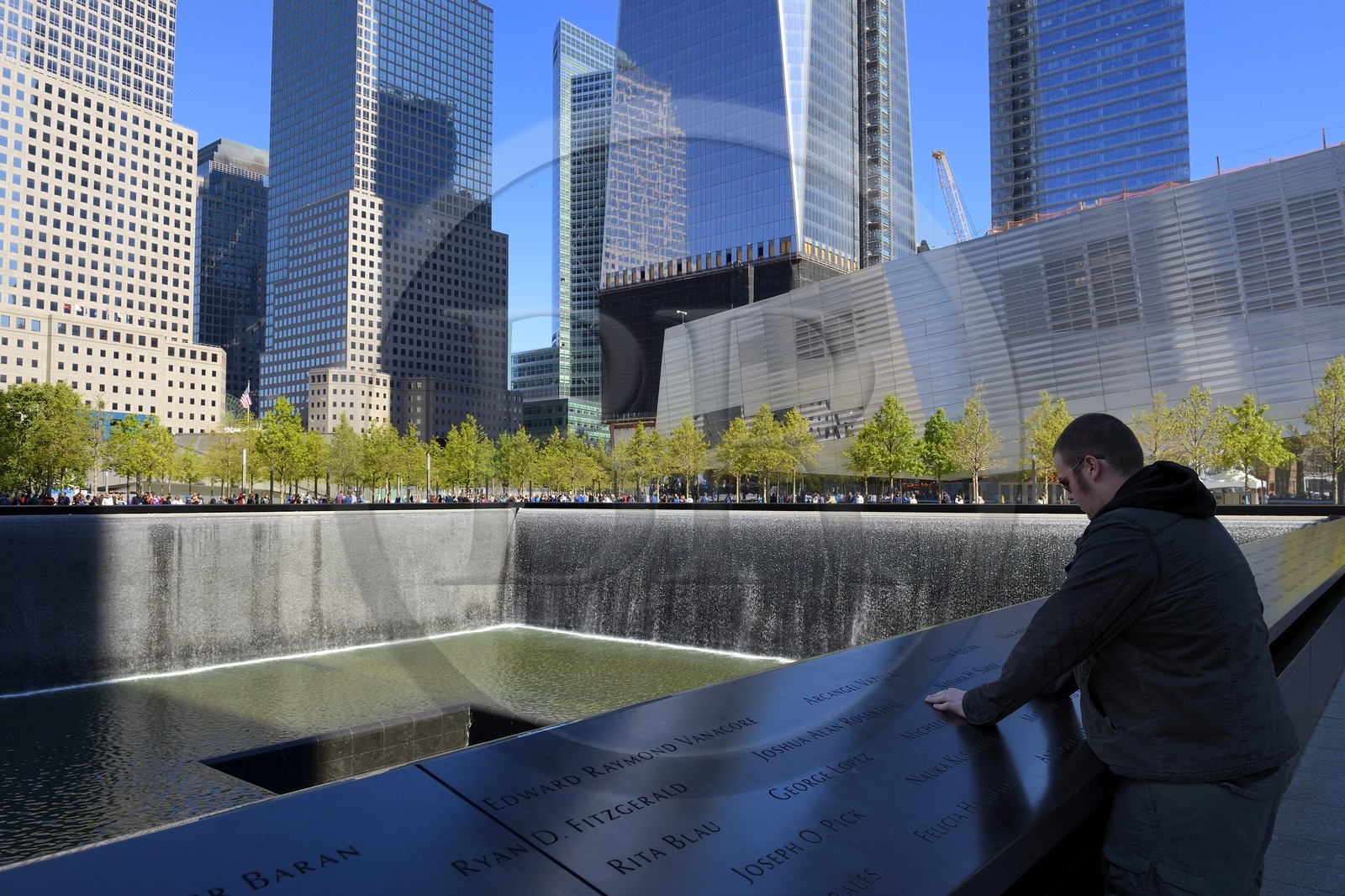Etats-Unis, New York, Manhattan, 9 11 Memorial dessiné par l'architecte israélien Michael Arad qui consiste en une forêt d'arbres autour de deux étendues d'eau carrées avec deux grands trous en leur centre à l'endroit précis où se tenaient les deux tours et les noms gravés de victimes, le One World Trade Center (1WTC) en arrière plan
