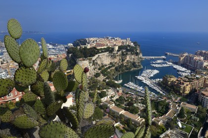Principauté de Monaco, Monaco, le Jardin Exotique regroupant plusieurs milliers d'espèces de plantes succulentes, le Rocher et le port de Fontvieille en arrière plan