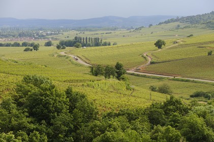 France, Côte d'Or (21), Pernand-Vergeles et la côte de Beaune