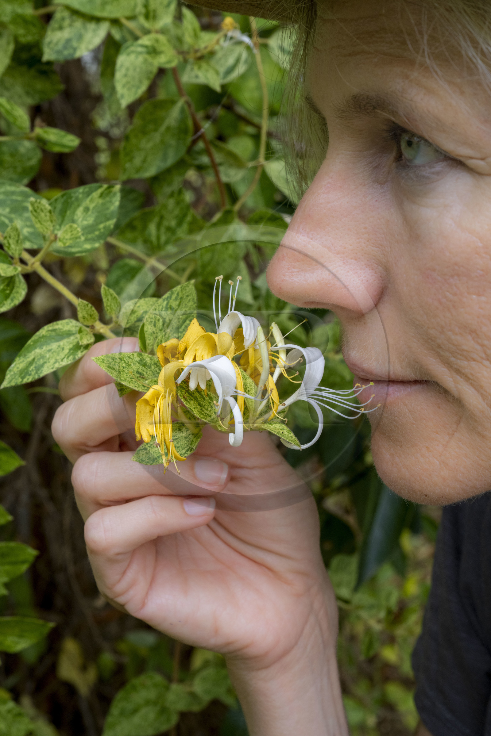 France, Alpes-Maritimes (06), Mouans-Sartoux, Jardins du Musée International de la Parfumerie​ (MIP), Corinne Marie- Tosello, une Nez designer d’ateliers olfactifs, nous apprend à comparer les senteurs