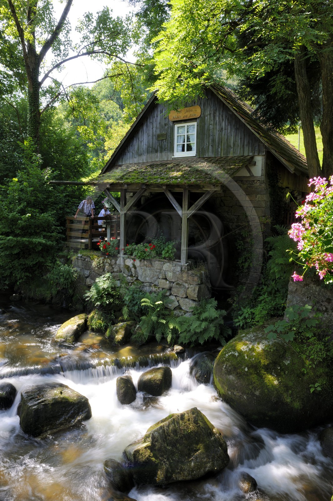 Allemagne, Forêt Noire, Schwartzwald, Bade-Würtemberg, région d'Ottenhöffen, le moulin Mühle am Rain