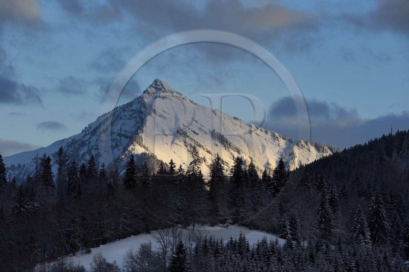 France, Haute-Savoie (74), Taninges, massif du Chablais, Pic de Marcelly