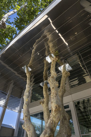 France, Bouches-du-Rhône (13), Marseille, le MAC (musée d'Art Contemporain), rénové en 2023