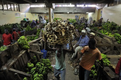 Tanzanie, Dar es-Salaam, le grand marché central de Kariakoo, la salle des bananes dans la partie basse au sous-sol