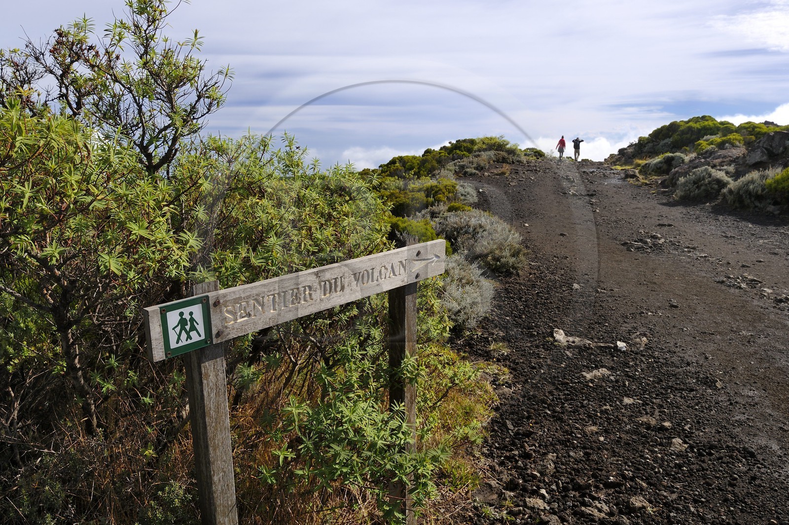 France, île de la Réunion, volcan du Piton de la Fournaise, classé Patrimoine Mondial de l'UNESCO, randonneurs sur les sentiers du haut de l'Enclos