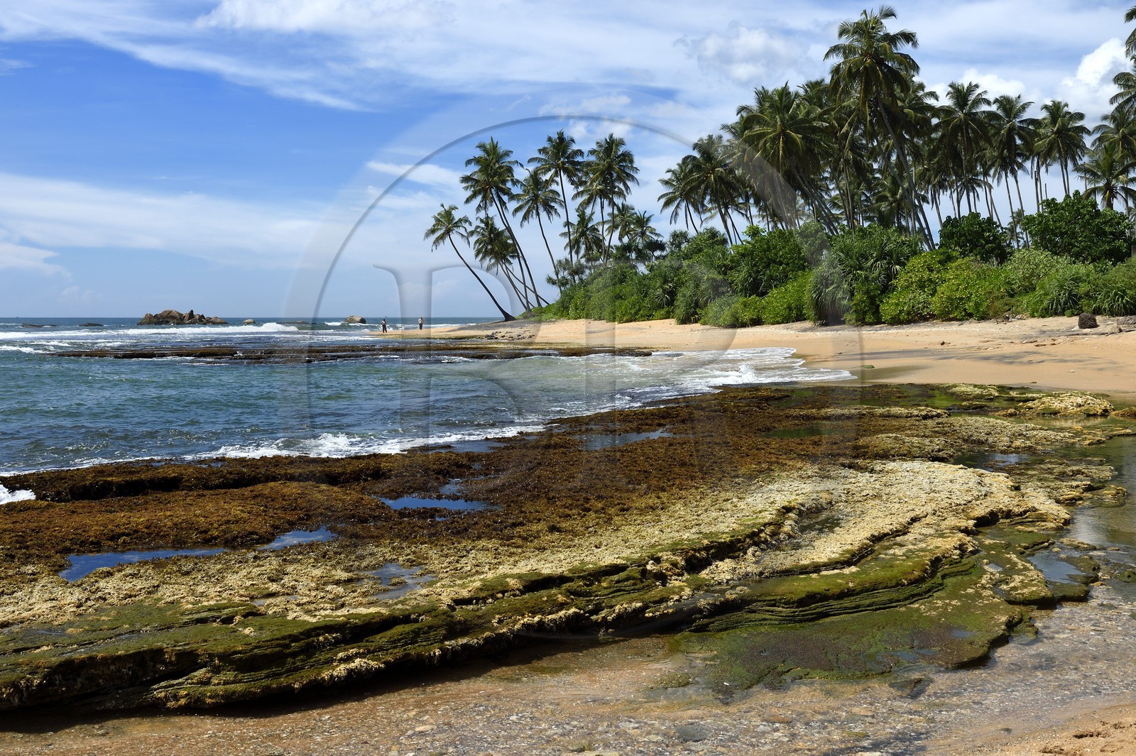 Sri Lanka, Southern Province, Galle, the Jetwing Lighthouse Hotel beach