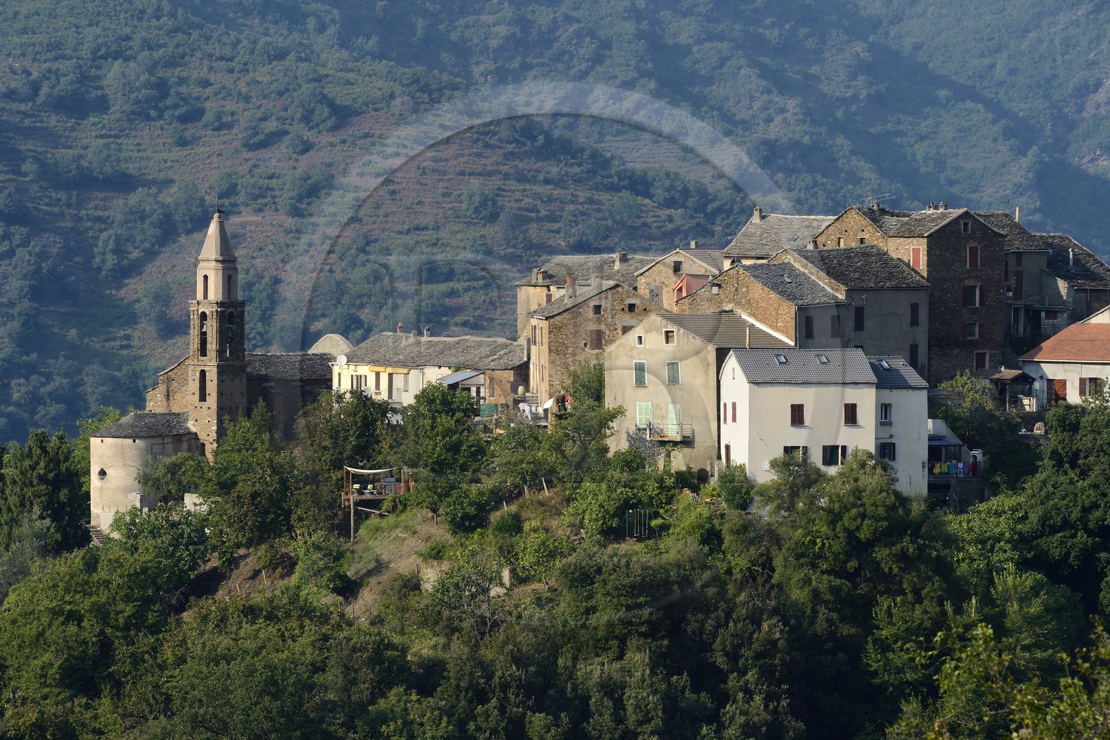 France, Haute-Corse (2B), Castagniccia, village de Ficaja
