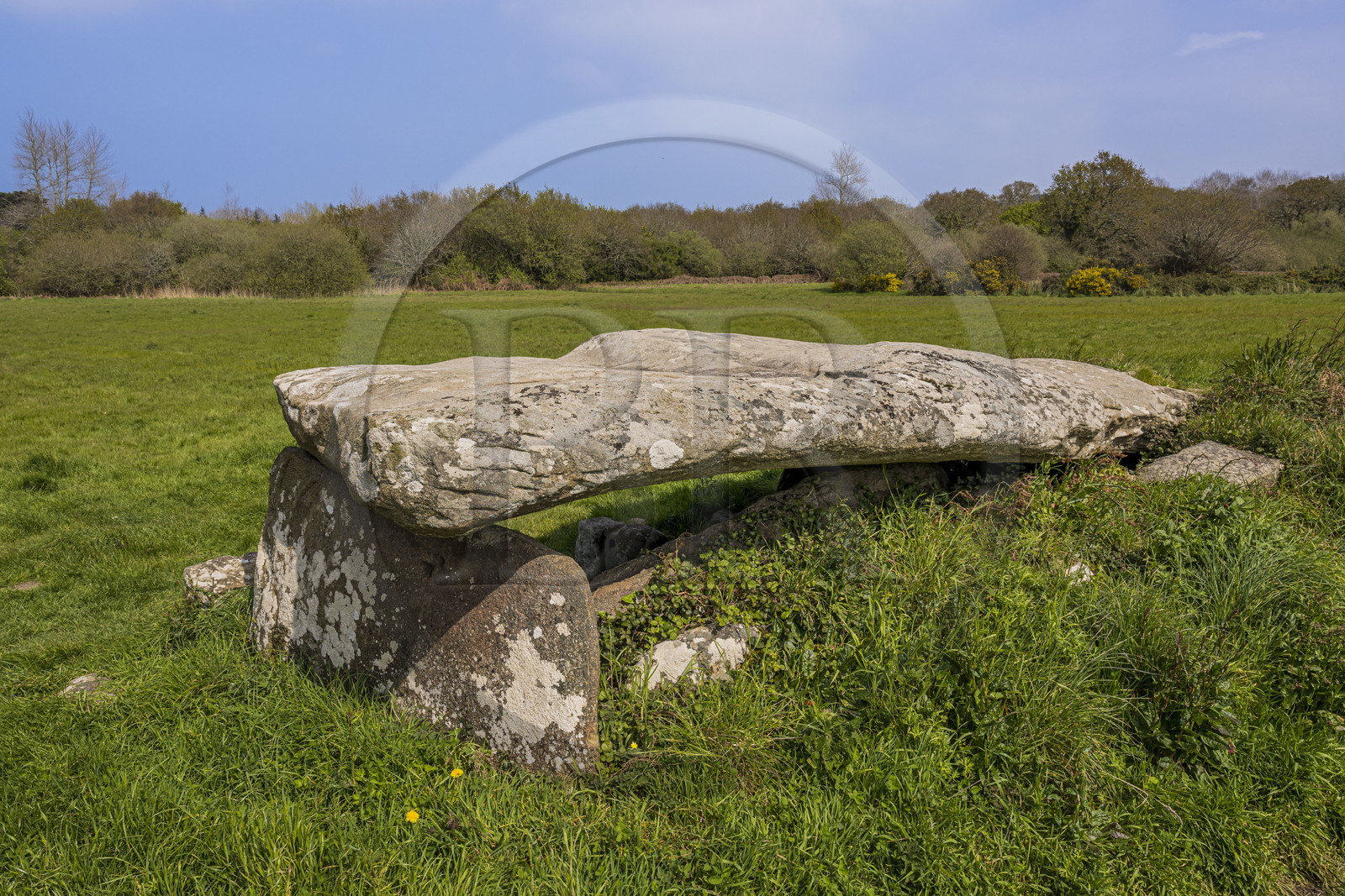 France, Côtes-d'Armor (22), Côte de Granit Rose, Trégastel, dolmen Kerguntuil vestige du néolithique final