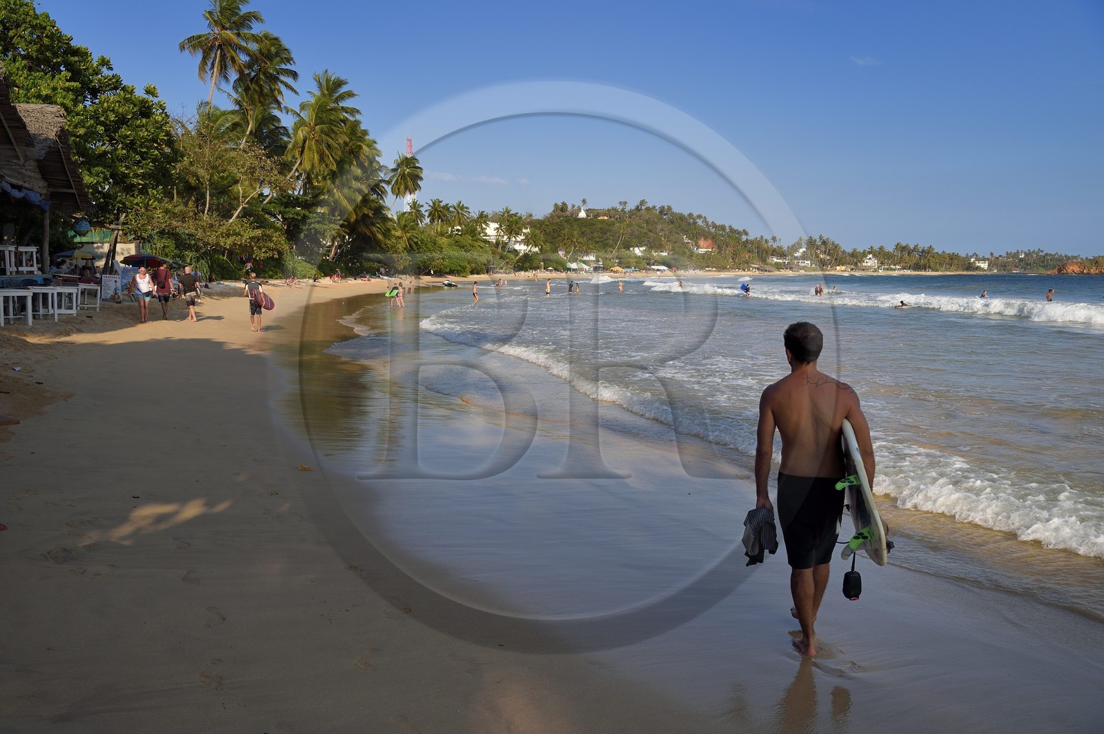 Sri Lanka, Province du Sud, Matara (district), Weligama, plage de Mirissa, surfeur