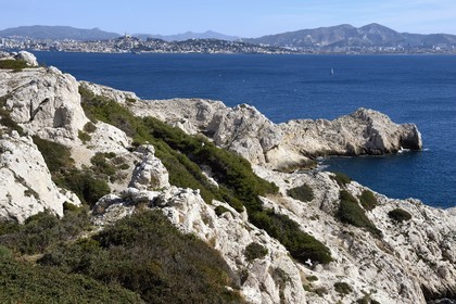 France, Bouches du Rhone, Marseille, Calanques National Park, archipelago of Frioul islands, Pomegues island and the Marseille skyline in the background