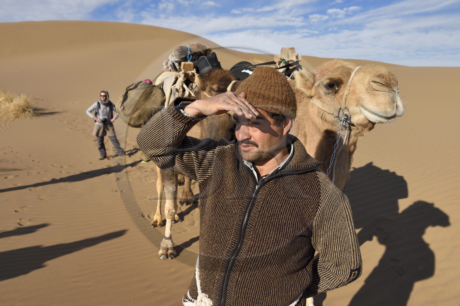 Iran, Province d'Ispahan, désert du Dasht-e Kavir, Mesr dans la région de Khur et Biabanak, chamelier et ses dromadaires dans le désert