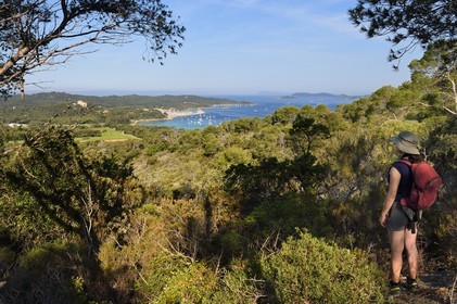 France, Var (83), Iles d'Hyères, parc national de Port Cros, Ile de Porquerolles, les vignes de la plaine de la Courtade et le port dominés par le Fort Sainte Agathe