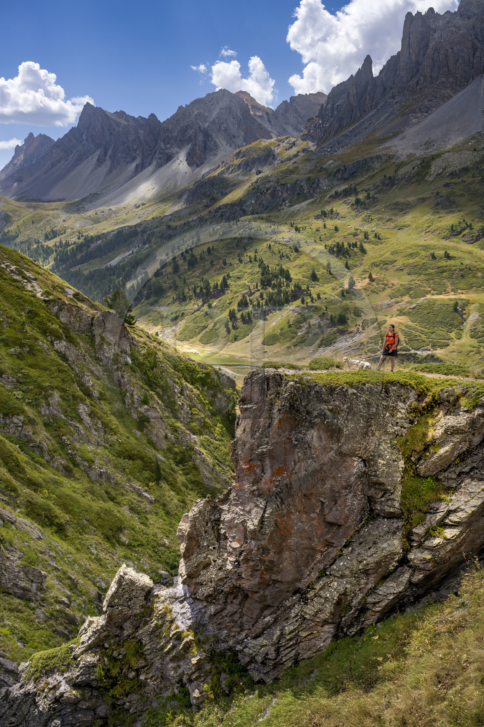 France, Hautes Alpes, Briancon region, Nevache, the upper Clarée valley, hiker with her dogs in the upper Clarée valley, the Cerces massif in the background