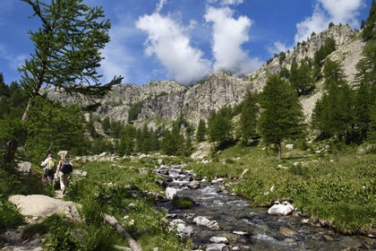 France, Alpes-Maritimes, parc national du Mercantour (Mercantour National Park), hikers on the Valmasque river valley trail and the ice bolt in the background