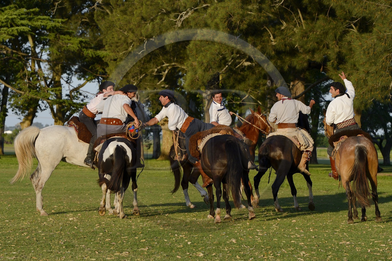 Argentina, Buenos Aires Province, San Antonio de Areco, estancia La Bamba de Areco, gauchos playing Pato (horse-ball) that is an equestrian team sport, mixture of rugby and basketball with horse