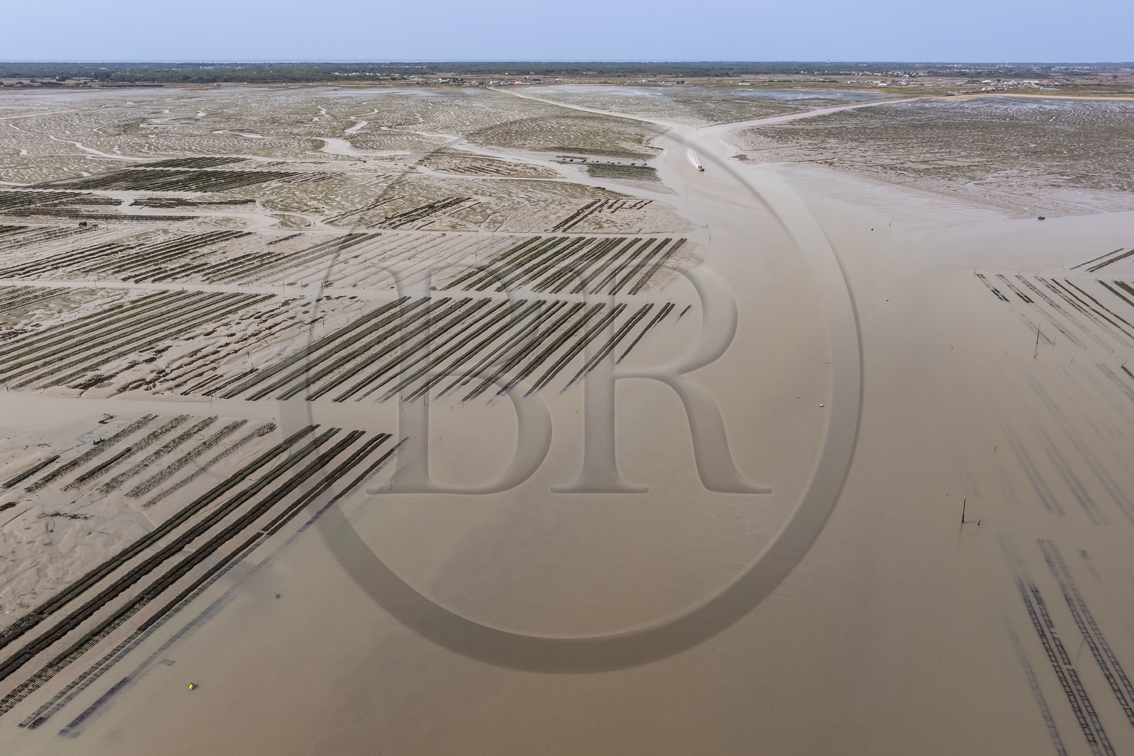 France, Charente Maritime, Oleron island, Dolus d’Oléron, the oyster beds of the Marennes-Oléron basin in the Pertuis d'Antioche at low tide (aerial view)