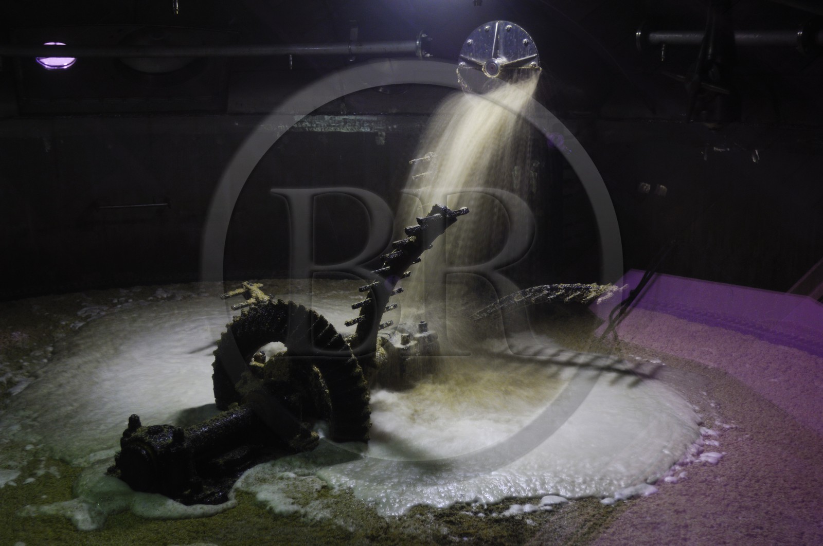 Royaume-Uni, Ecosse, Highland, Oban, distillerie de whisky Oban, le brassage, le grist est mélangé avec de l'eau chaude dans de grands baquets en bois appelés mash tun