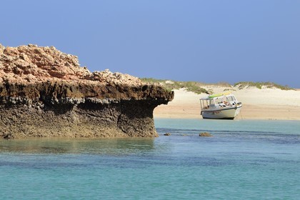 Sultanat d'Oman, gouvernorat de Mascate, réserve naturelle des Iles Daymaniyat, plage