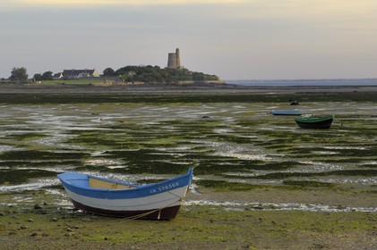 France, Manche, Val de Saire, Saint Vaast la Hougue area, Hougue Vauban fort listed as World Heritage by UNESCO seen from Morsalines village