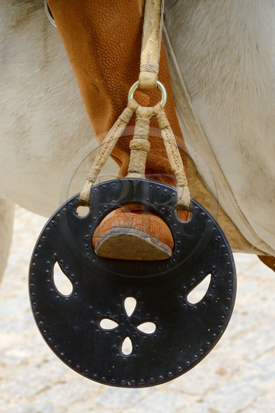 Argentina, Buenos Aires Province, San Antonio de Areco, Tradition Day festival (Dia de Tradicion), traditional leather stirrup