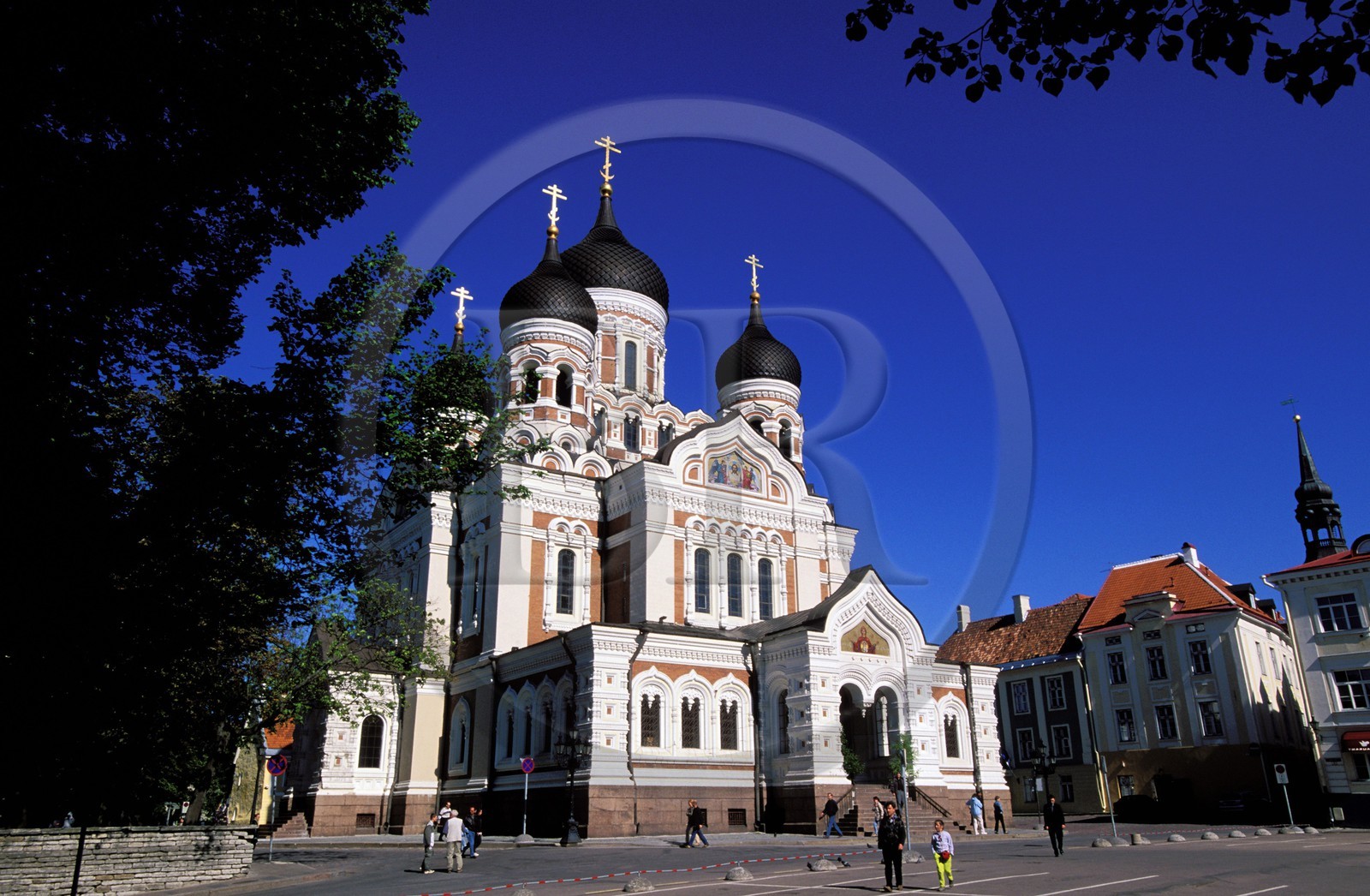 Estonie (Pays Baltes), région de Harju, Tallinn, capitale européenne de la culture 2011, cathédrale orthodoxe Alexandre-Nevski à Toompea (ville haute)