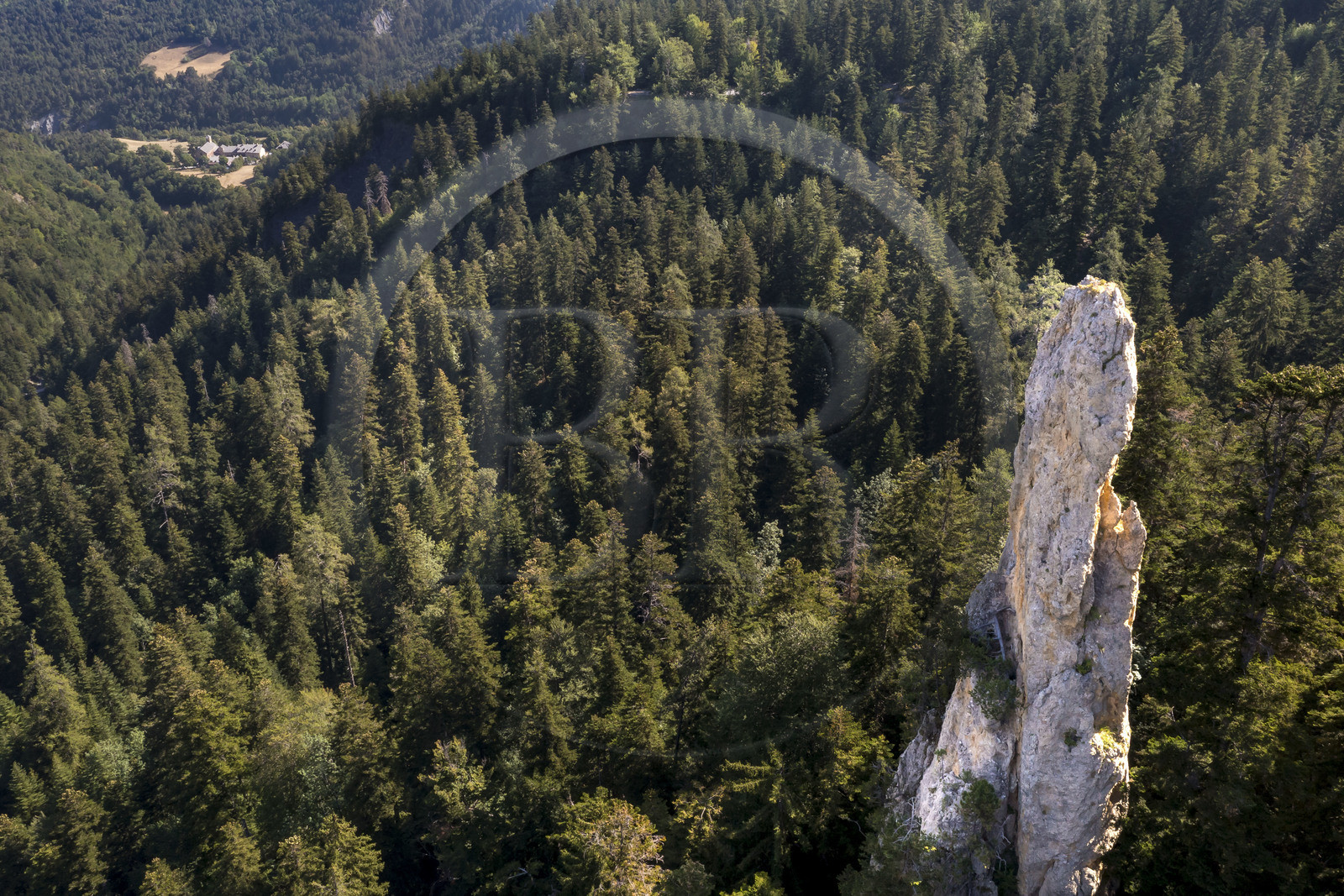 France, Hautes Alpes (05), Crots, rocher géant dans la forêt Boscodon, l'abbaye Notre-Dame de Boscodon en arrière plan (vue aérienne)