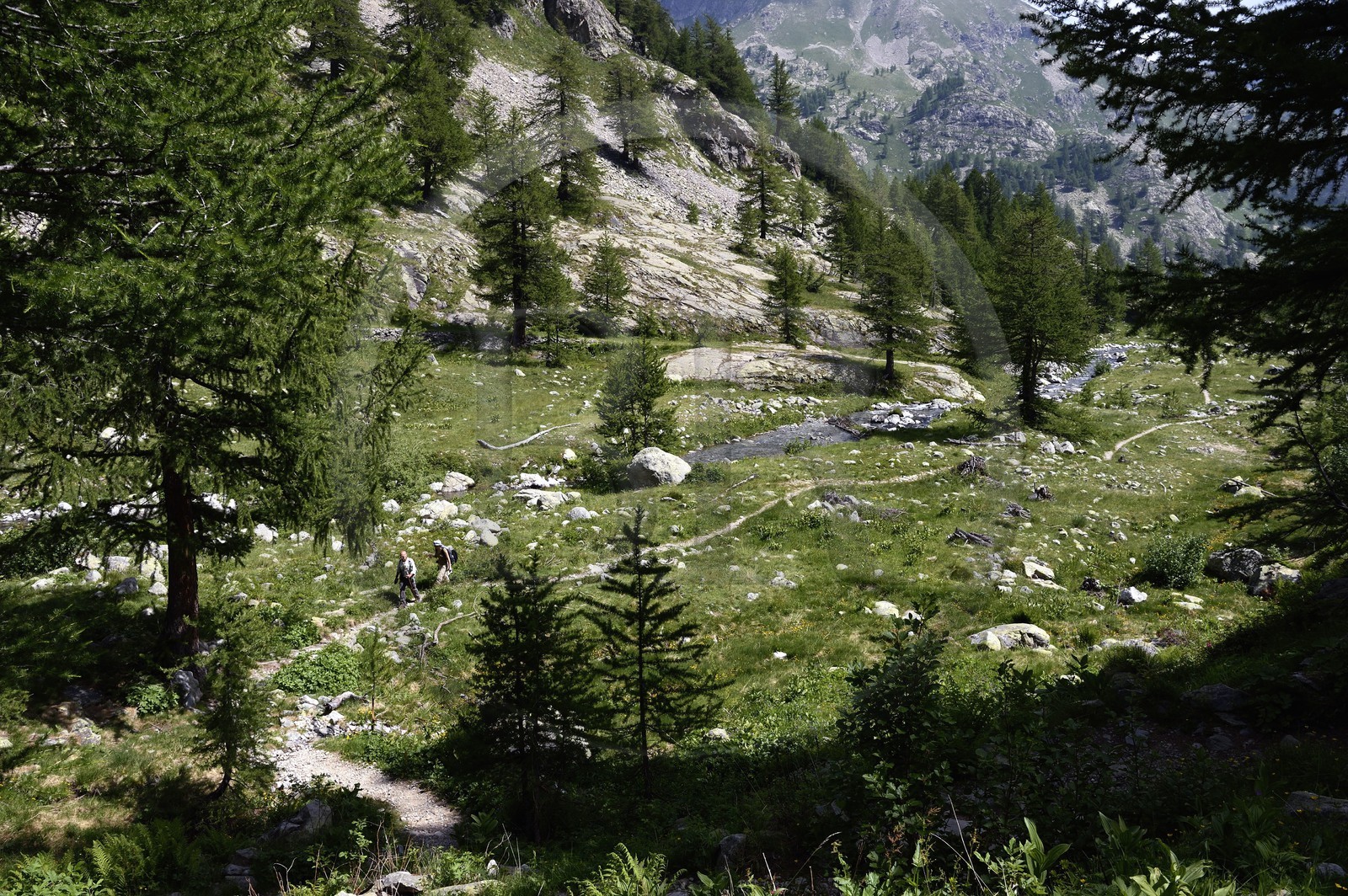 France, Alpes-Maritimes, parc national du Mercantour (Mercantour National Park), hikers on the Valmasque river valley trail
