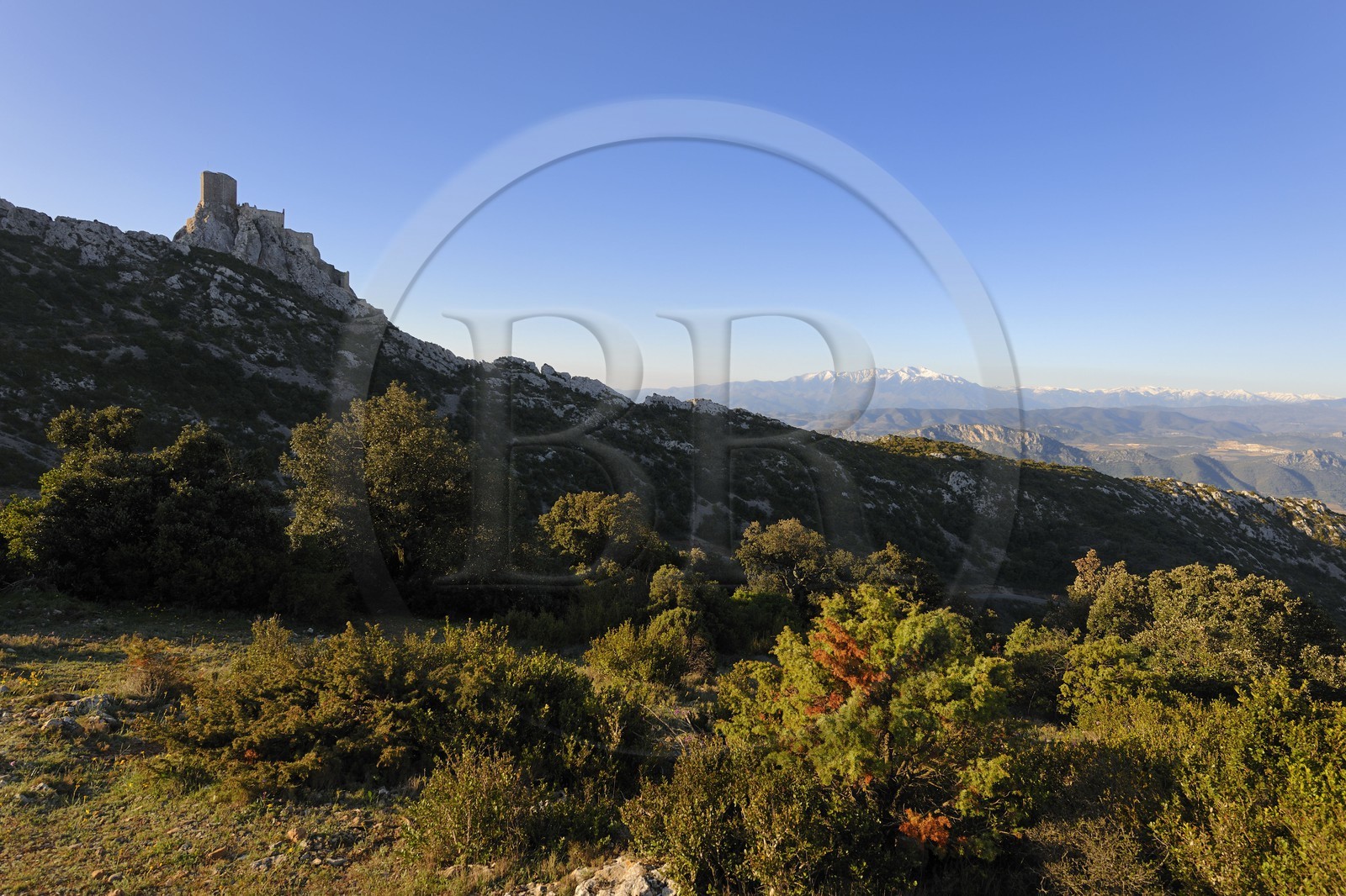 France, Aude, Cathar castle of Queribus and the mount Canigou (2784 m) in the Pyrenees