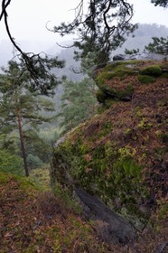 France, Bas-Rhin (67), Parc Naturel régional des Vosges du Nord, La Petite Pierre, Rocher du Saut du Chien