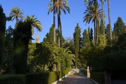 Espagne, Andalousie, Séville, Alcazar de Séville (Reales Alcazares de Sevilla), classé Patrimoine Mondial de l'UNESCO, les jardins