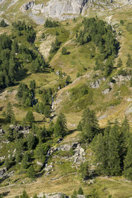 France, Hautes Alpes (05), le Briançonnais, Névache, randonneurs sur un sentier de la vallée de la Clarée