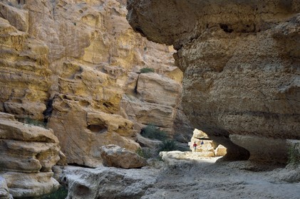 Sultanat d'Oman, région d'Ash Sharqiyah, Tiwi, randonneurs dans le Wadi ash Shab