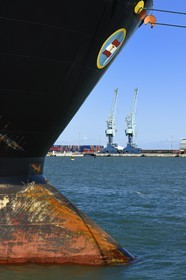 France, Charente-Maritime (17), La Rochelle, le Port Atlantique La Rochelle, port de commerce