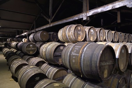 France, Charente (16), Cognac, tonneaux stockés dansles chais de vieillissement de la Maison de cognac Hennessy