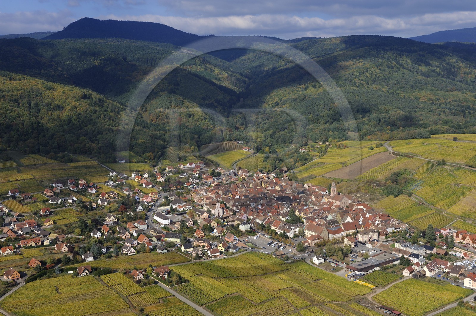 France, Haut-Rhin (68), Riquewihr et son vignoble au pied du massif des Vosges (photo aérienne)